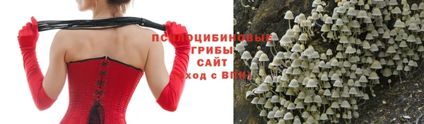 spice Покров