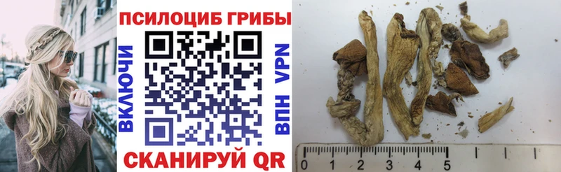 Псилоцибиновые грибы Psilocybine cubensis  mega вход  Торопец  где найти наркотики 